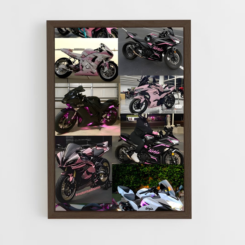 Poster Moto Palette (vue 5)